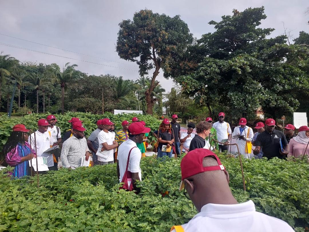 Visite et formation pratique en agriculture maraîchère